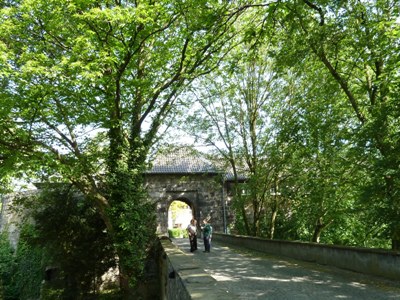 Photo 6